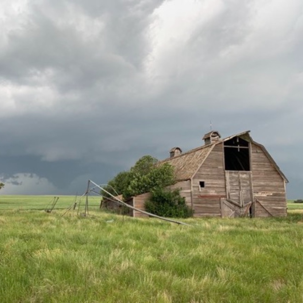 Meet your Posher, Posh